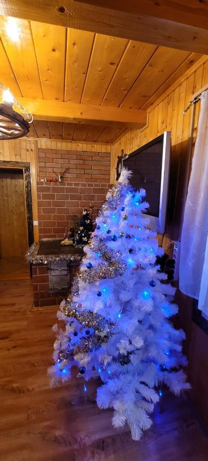 Kotiedzh U Mariny Villa Iaremcea Exterior foto
