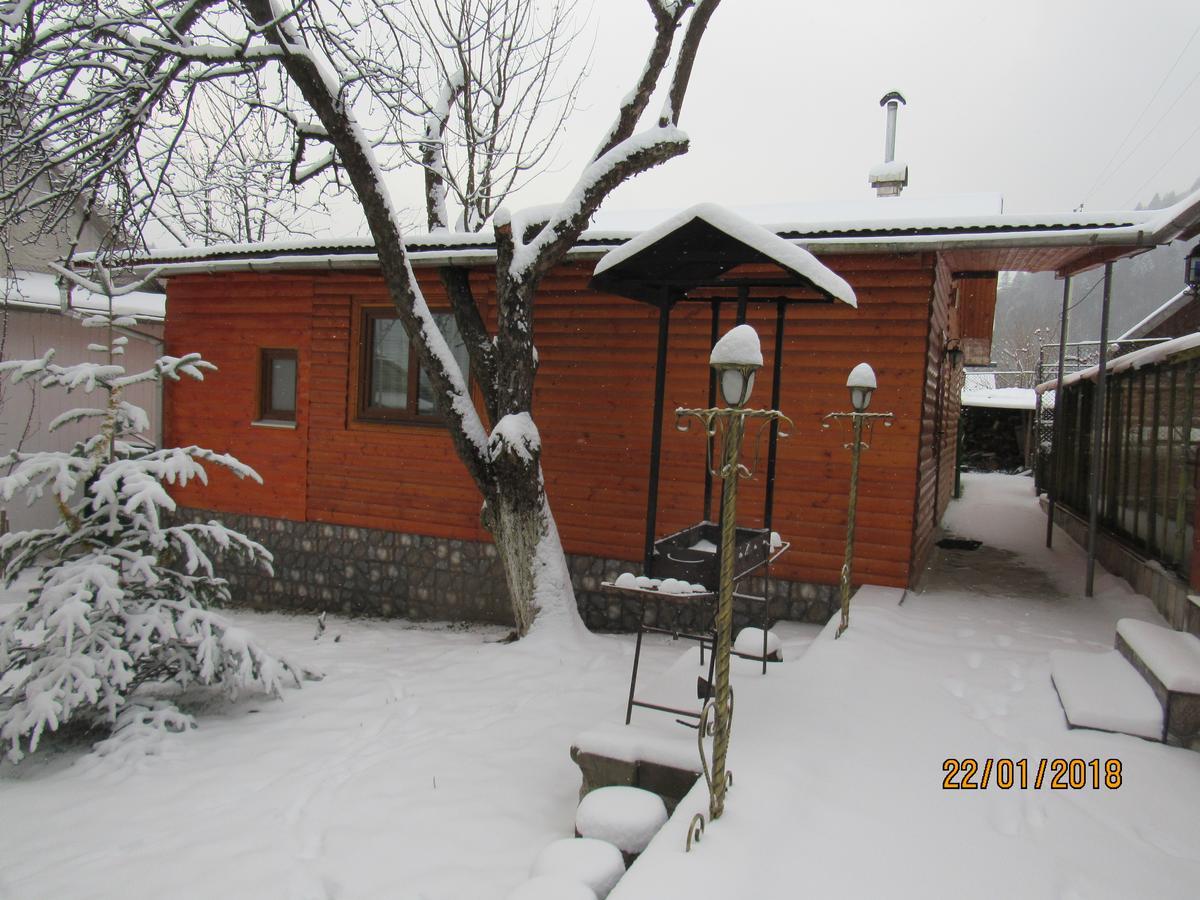 Kotiedzh U Mariny Villa Iaremcea Exterior foto