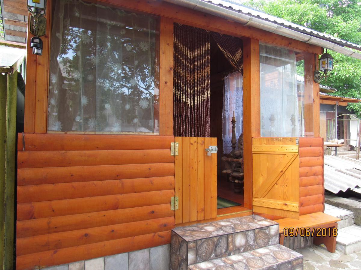 Kotiedzh U Mariny Villa Iaremcea Exterior foto