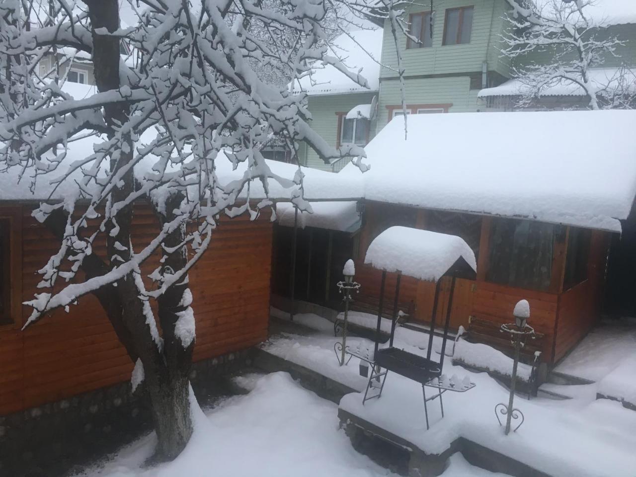 Kotiedzh U Mariny Villa Iaremcea Exterior foto